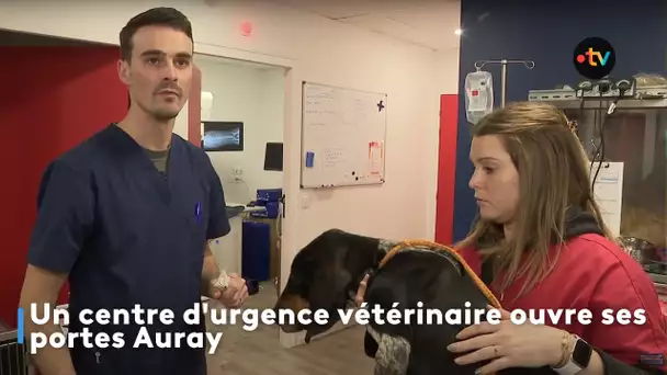 Un centre d'urgence vétérinaire ouvre ses portes Auray