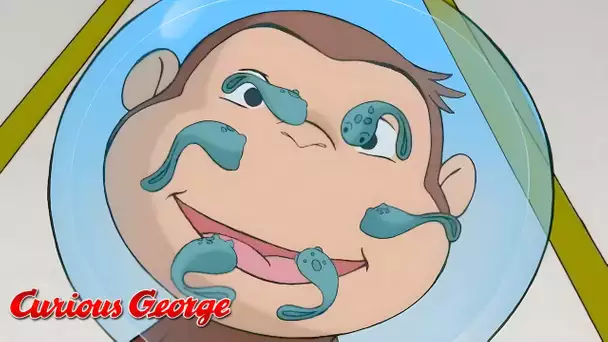 Georges le Petit Singe 🐵Les Têtards 🐵Saison 1 Épisode Complet 🐵Dessins Animés | WildBrain Enfants