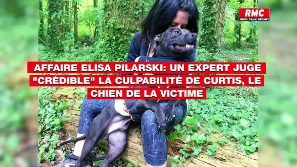 Affaire Elisa Pilarski: la culpabilité de Curtis, le chien de la victime, mise en cause