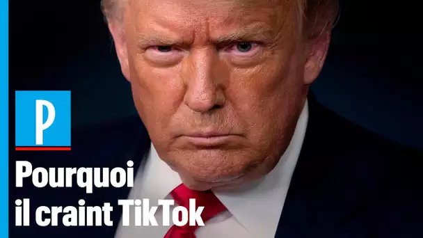 « Donald Trump ne comprend pas très bien ce qu'est TikTok »