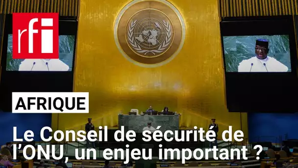 ONU : vers une meilleure représentation de l’Afrique au Conseil de sécurité ?• RFI