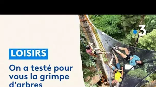 On a testé pour vous la grimpe d'arbres dans le Haut-Jura