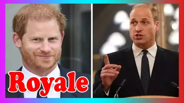 William et Harry profondément divisés sur les médias