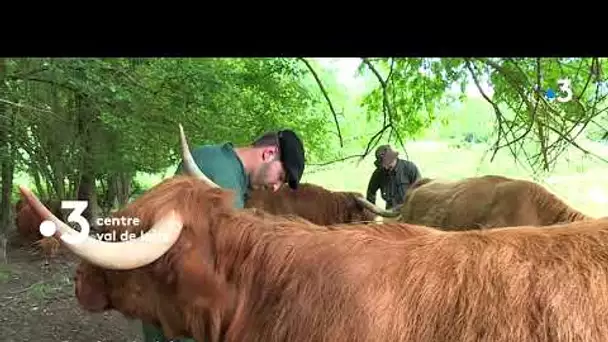 Enquêtes de Région : les nouveaux agriculteurs, mercredi 15 septembre à 23.25 sur France 3 CVDL