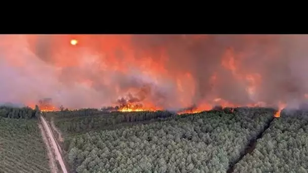 Gironde : près de 1.000 hectares de forêt brûlés dans deux incendies en cours