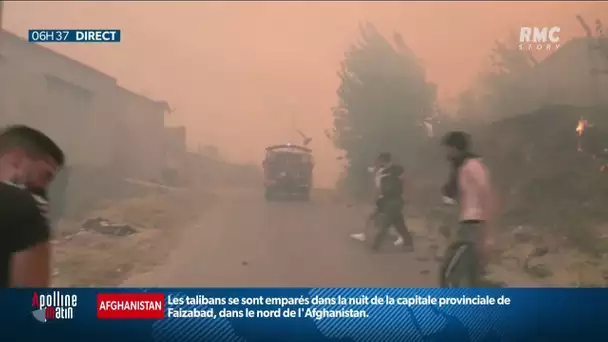 Algérie : plus de 40 morts dans des incendies meurtriers qui ravagent le nord du pays