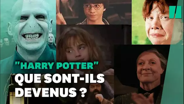 "Harry Potter" a 20 ans: qu'est devenu le casting de la saga culte?