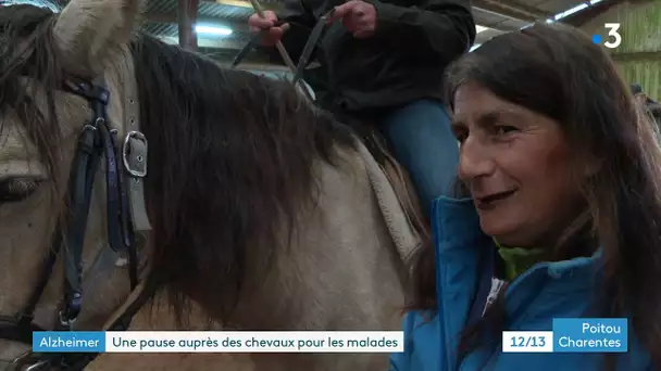 Alzheimer : une pause auprès des chevaux pour les malades