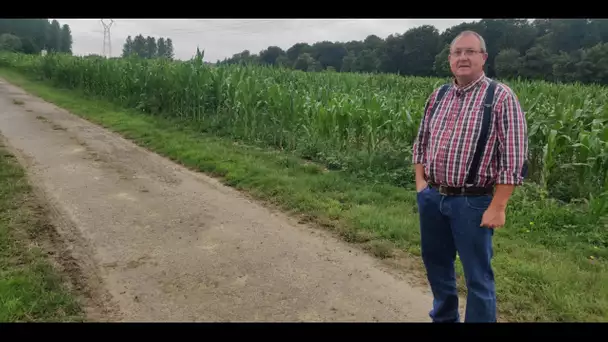 Sécheresse : un couple d'agriculteurs misent sur leur labyrinthe de maïs pour renflouer les caisses