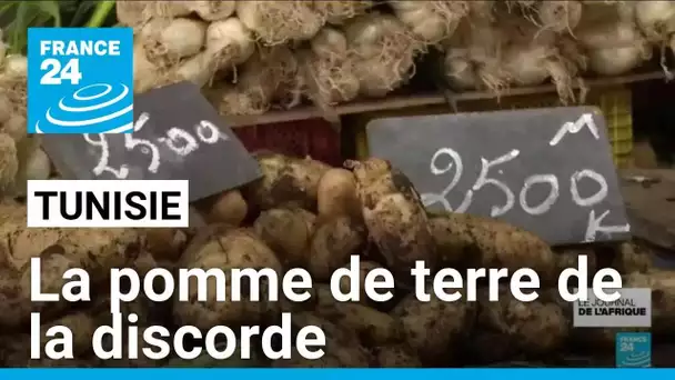 Tunisie : la pomme de terre de la discorde • FRANCE 24