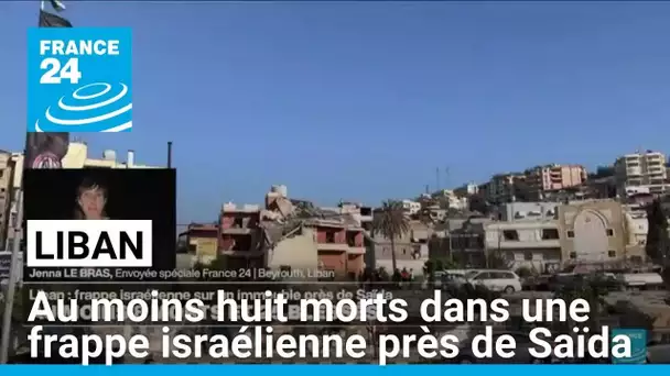 Liban : au moins huit morts dans une frappe israélienne près de Saïda • FRANCE 24