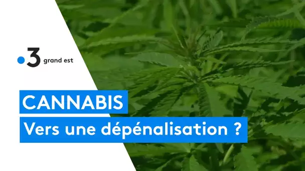 Légaliser ou non le cannabis ? La question fait débat en Champagne-Ardenne