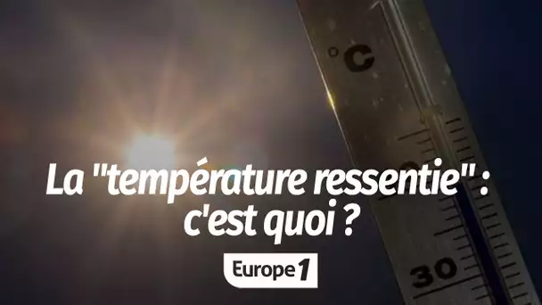 Canicule : pourquoi peut-on avoir une température ressentie différente de celle relevée ?