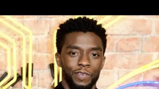 SAG Awards 2021 : Chadwick Boseman entre dans la légende, découvrez le palmarès...