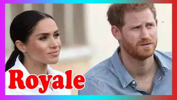 «C'est très diffamatoire !» Un panneau vigne écl@te dans une rangée charité Meghan et Harry