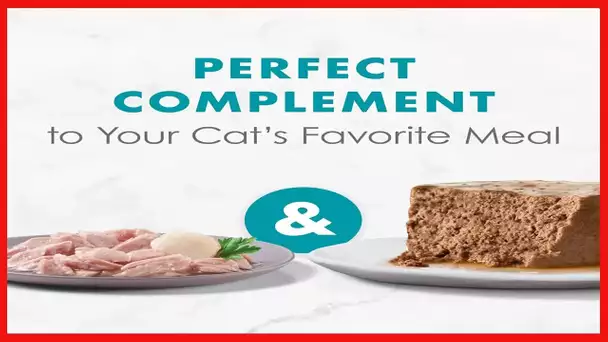 Purina Fancy Feast Appetizers Adult Gourmet Wet Cat Food Complement