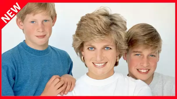 ✅  Le conseil de Diana à William pour sa vie amoureuse qui n’a pas arrangé les affaires de Kate