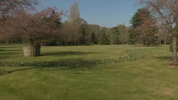 Coronavirus : le parc floral d'Orléans la Source pendant la période du confinement