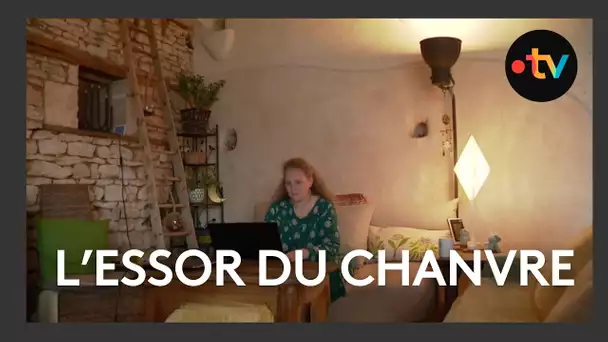 Le chanvre, une filière en plein essor