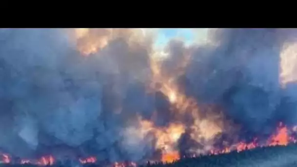 Incendies au Canada : les fumées des mégafeux arrivent sur le nord de la France