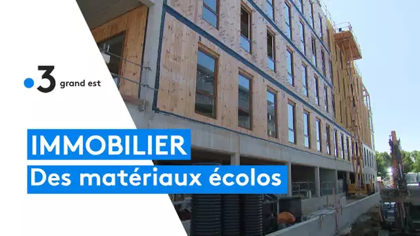 Immobilier d'entreprise : ce bâtiment utilise des matériaux de construction écologiques