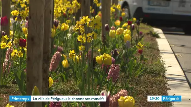 Dans les coulisses du fleurissement de Périgueux