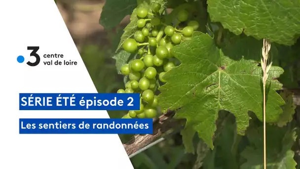 Sentiers de randonnée et Patrimoine : à Thésée-la-Romaine entre vignes et vieilles pierres