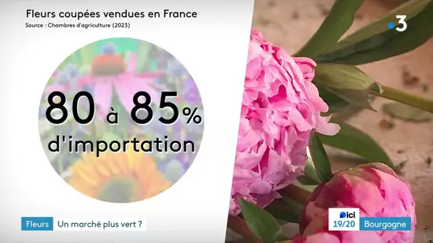 Le marché de la fleur française : de plus en plus d'acteurs s'engagent en Bourgogne