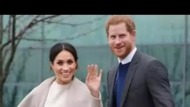 Harry et Meghan ont conseillé d'abandonner les cascades pour attirer l'attention pour soutenir Queen