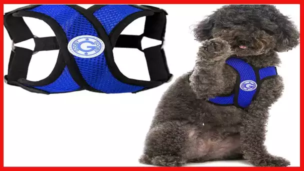 Gooby Comfort X Step In Harness - No Pull Small Dog Harness