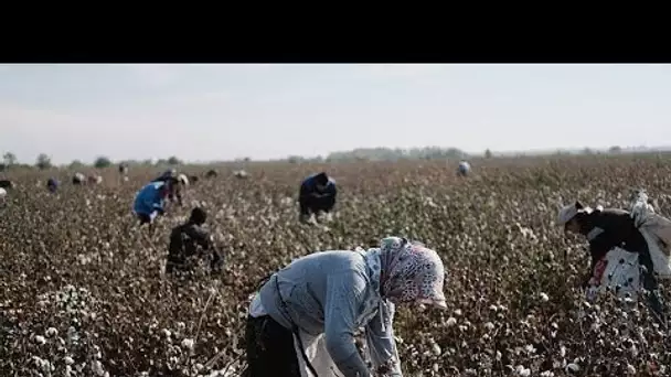 Interdire dans l’Union européenne les produits issus du travail forcé