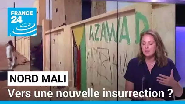 Nord Mali : va-t-on vers une nouvelle insurrection ? • FRANCE 24