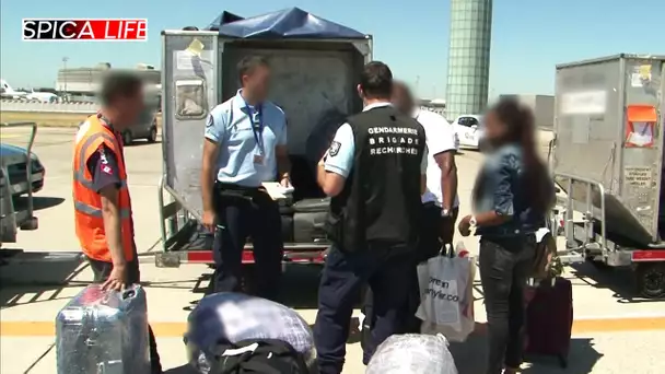 Aéroport de Roissy : Enquête sur les emballeurs clandestins