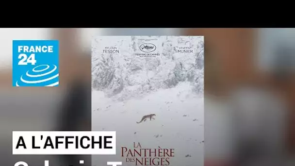 "La panthère des neiges" : rencontre avec Sylvain Tesson, Vincent Munier et Marie Amiguet