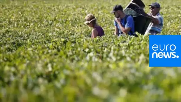 Trafic d'êtres humains : le Beaujolais secoué par une vaste enquête