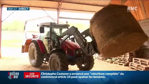 Un rapport pour diminuer le nombre de suicide chez les agriculteurs va être remis au gouvernement