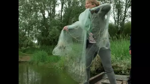 Envie Dehors ! Julie Hattu nous emmène sur la Loire