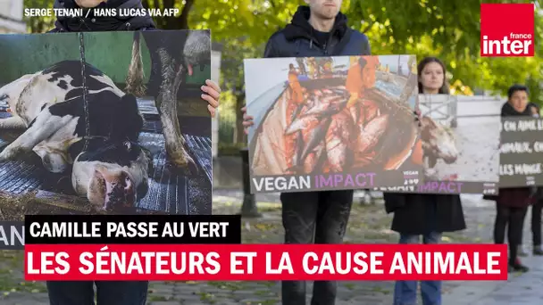 Les sénateurs et la cause animale