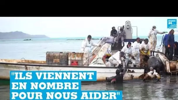 Île Maurice : une "armée" de volontaires à pied d’œuvre pour lutter contre la marée noire