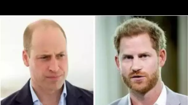 La qu.erelle de Harry et William ne guérira pas" alors que le duc de Sussex a mis en garde contre le