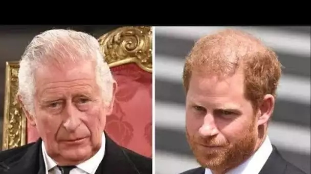 Les Britanniques se sont divisés sur la question de savoir si Harry et Charles devraient mettre fin