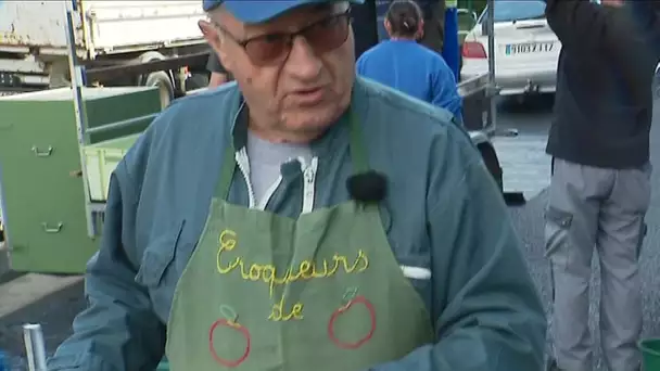 Croqueurs de pommes