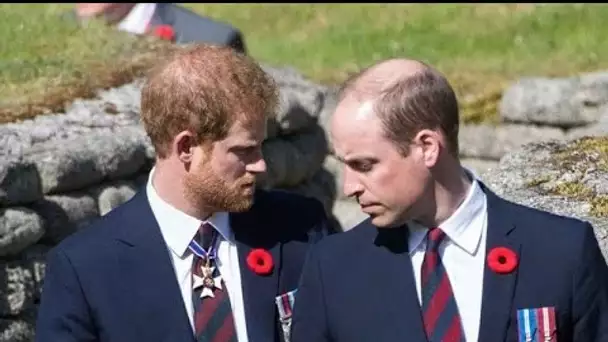 Harry et William aux 60 ans de Lady Diana : 8 sujets épineux qu'ils vont devoir...