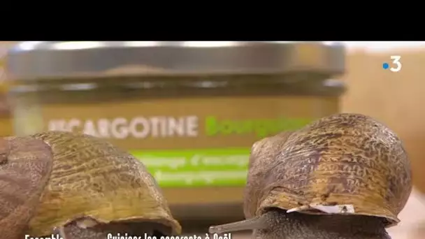 Cuisiner les escargots à Noël : Ensemble c'est mieux !