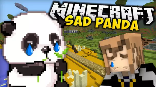 L&#039;AVENTURE DU PANDA TRISTE | Sad Panda Adventures