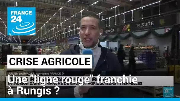 Crise agricole : une "ligne rouge" franchie au marché de Rungis • FRANCE 24