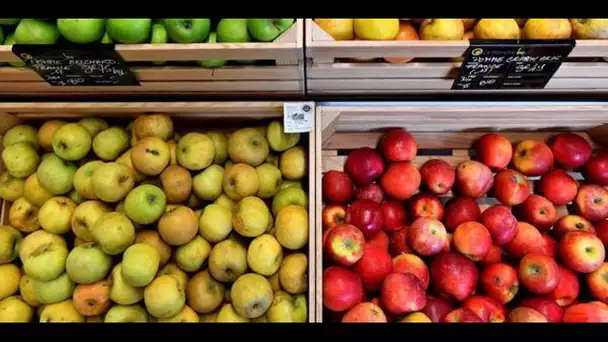 Quatre recettes gourmandes autour de la pomme, le fruit préféré des Français