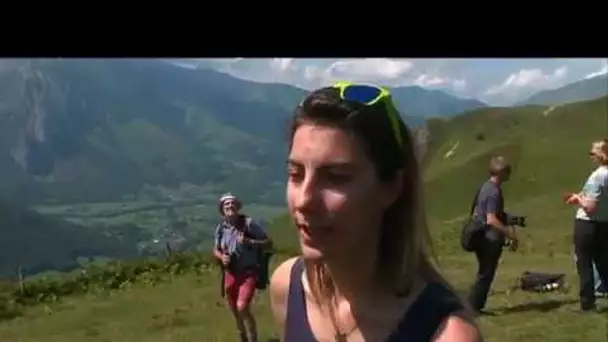 Lâcher d'un gypaète barbu sur les hauteurs d'Accous