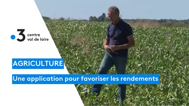 Agriculture : "crop-analyser", une application qui détermine le couvert végétale pour les rendements