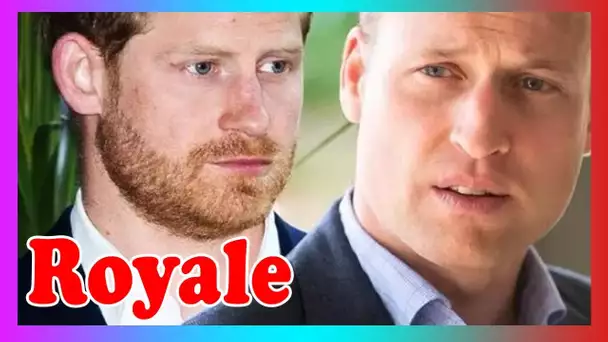 ''Pas quelque chose qu'il peut oublier'' La faille de William et Harry mise à nu